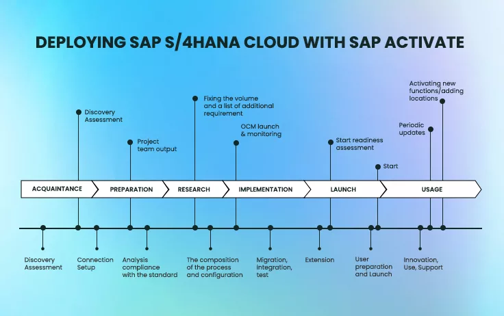 SAP S4HANA Cloud Process